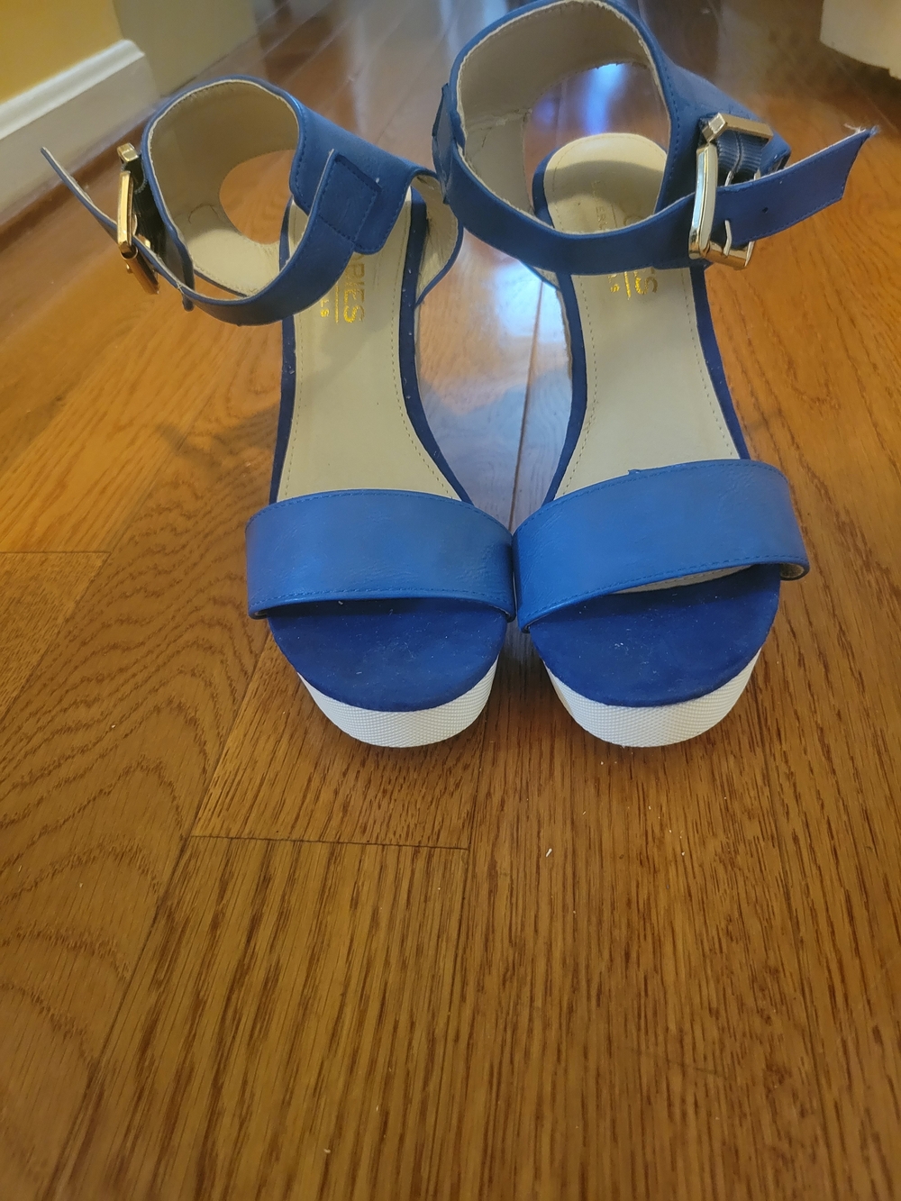 Women’s Blue Ankle-Strap Wedge Sandals